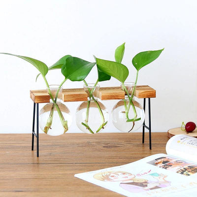 Glass Plant Vase with Metal and Wooden Stand - Lily & Eden