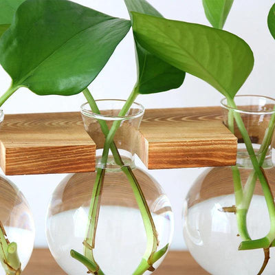 Glass Plant Vase with Metal and Wooden Stand - Lily & Eden