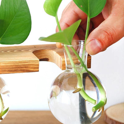 Glass Plant Vase with Metal and Wooden Stand - Lily & Eden