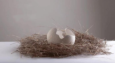 Hani White Broken Egg Vases - Lily & Eden