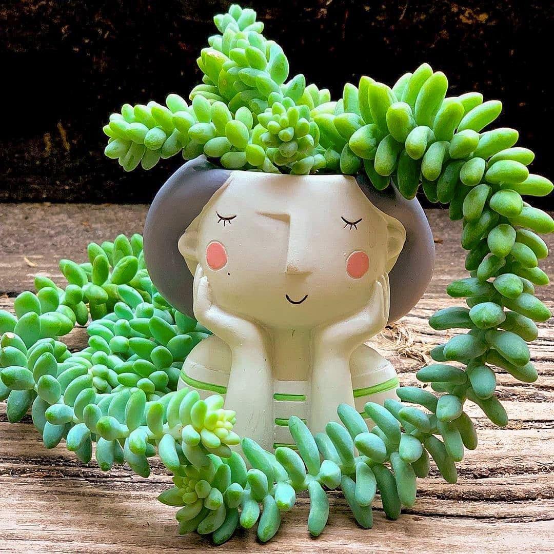 plant mom pot Happy Plant Mom Pot Yellow Triangles