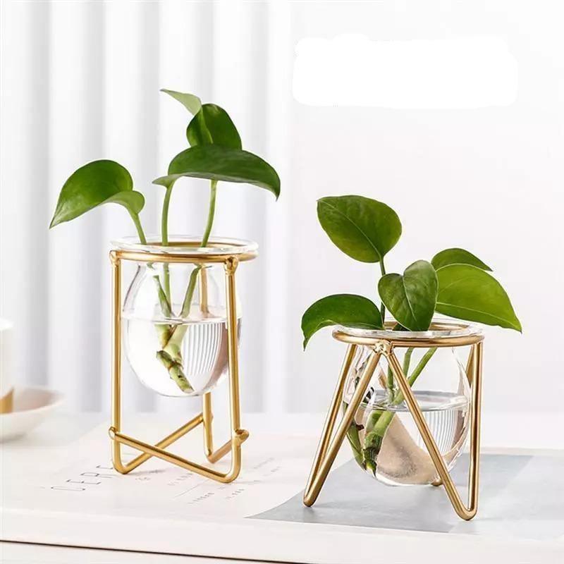 Glass Plant Vase with Modern Iron Stand - Lily & Eden