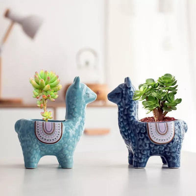 Alpaca Pottery Succulent Planter - Lily & Eden
