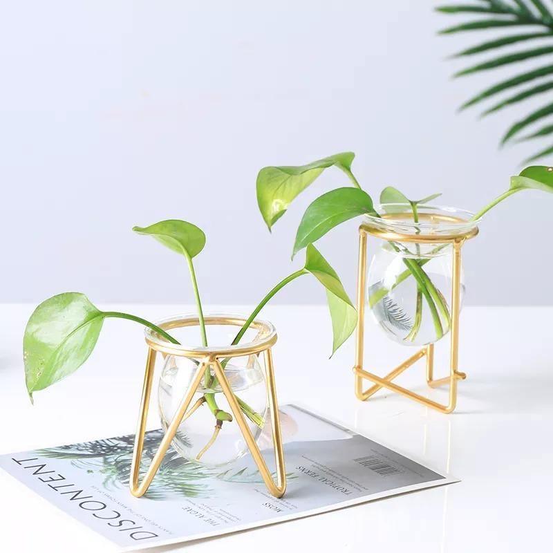 Glass Plant Vase with Modern Iron Stand - Lily & Eden