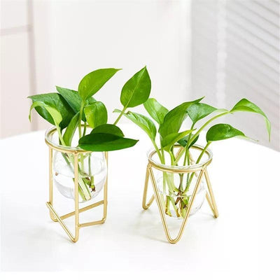 Glass Plant Vase with Modern Iron Stand - Lily & Eden