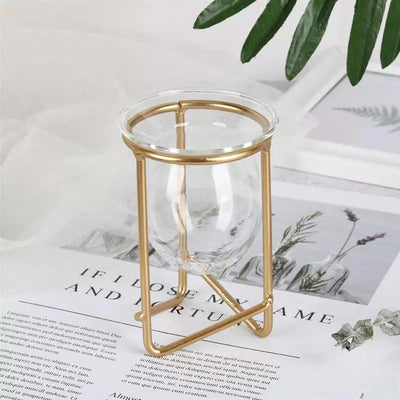 Glass Plant Vase with Modern Iron Stand - Lily & Eden