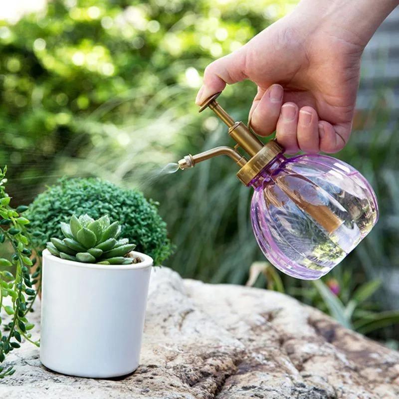 Plant Mister Spray Bottle in Vibrant Colors Lily Eden