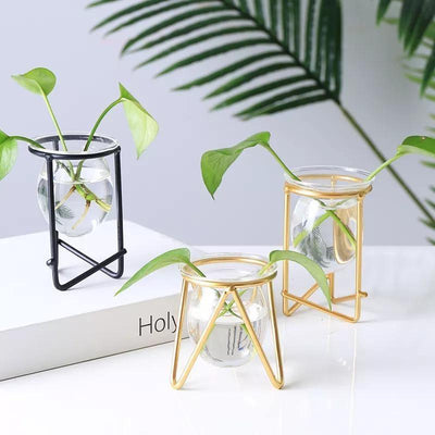 Glass Plant Vase with Modern Iron Stand - Lily & Eden