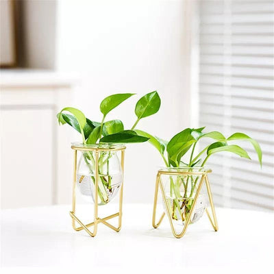 Glass Plant Vase with Modern Iron Stand - Lily & Eden