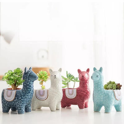 Alpaca Pottery Succulent Planter - Lily & Eden