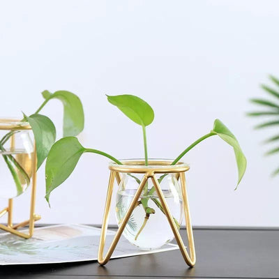 Glass Plant Vase with Modern Iron Stand - Lily & Eden