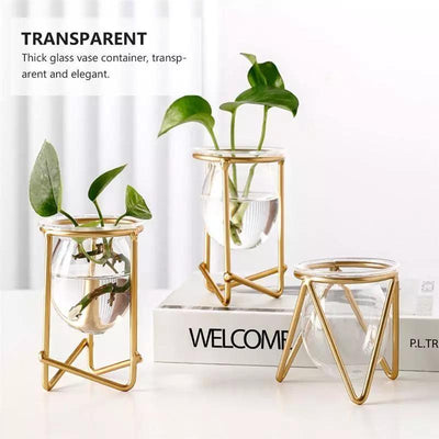Glass Plant Vase with Modern Iron Stand - Lily & Eden
