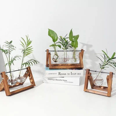 Glass Propagation Vase with A-Frame Wood Stand - Lily & Eden