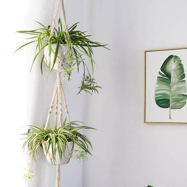 handmade hanging plants 4-Piece Handcrafted Boho Macrame Plant Holder Set