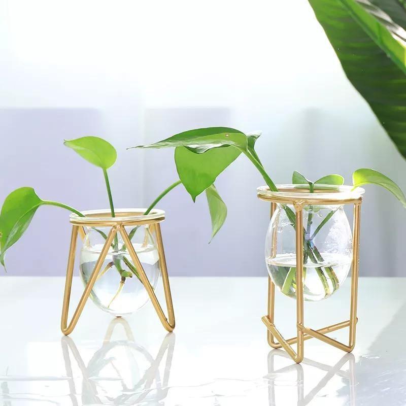 Glass Plant Vase with Modern Iron Stand - Lily & Eden