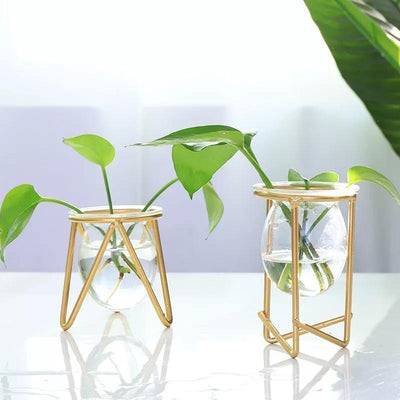 Glass Plant Vase with Modern Iron Stand - Lily & Eden