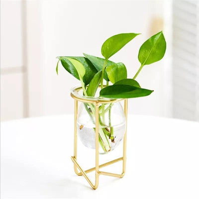 Glass Plant Vase with Modern Iron Stand - Lily & Eden