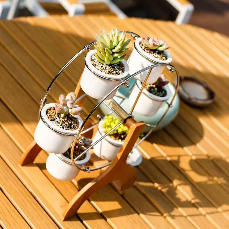succulent pots and planters Wooden Carousel with Ceramic Succulent Planters