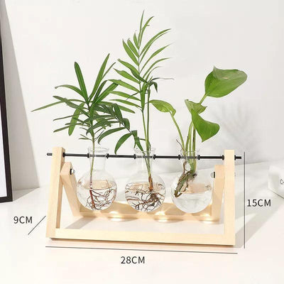 Glass Propagation Vase with A-Frame Wood Stand - Lily & Eden