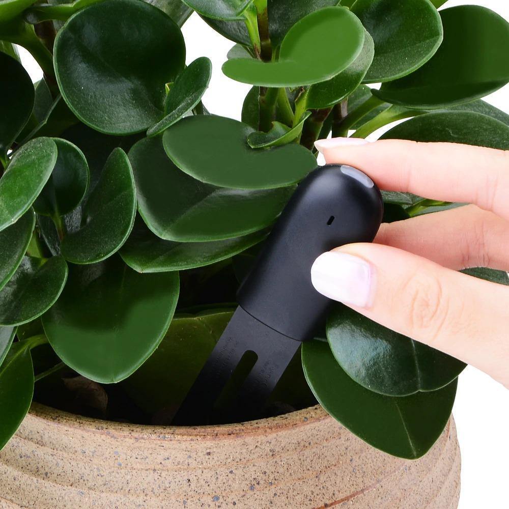 Intelligent Plant Water Meter and Wellness Sensor - Lily & Eden