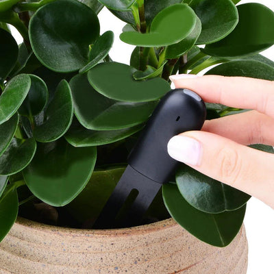 Intelligent Plant Water Meter and Wellness Sensor - Lily & Eden