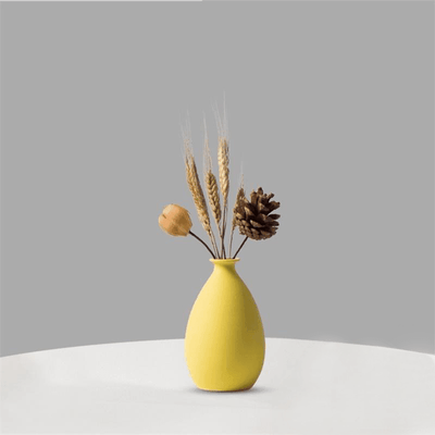 Vibrant Ceramic Vases - Lily & Eden
