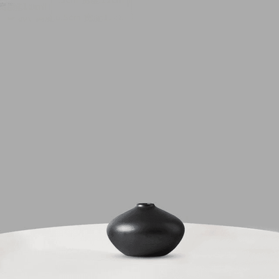Vibrant Ceramic Vases - Lily & Eden