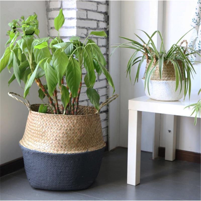 Artisan Rattan Planter or Storage Basket with Handles - Lily & Eden