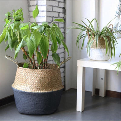 Artisan Rattan Planter or Storage Basket with Handles - Lily & Eden