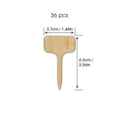 Blank Wooden Plant Label Signs Small | 36-Pieces | Lily & Eden