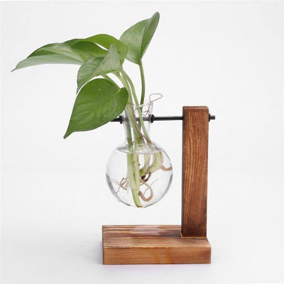 Glass Plant Vase with Vertical Wood Stand - Lily & Eden