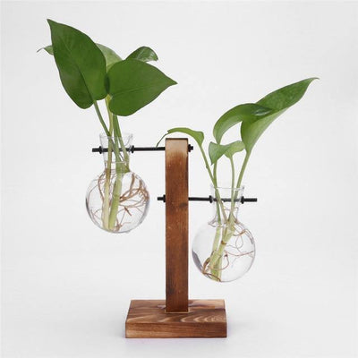Glass Plant Vase with Vertical Wood Stand - Lily & Eden