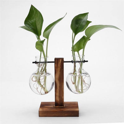 Glass Plant Vase with Vertical Wood Stand - Lily & Eden