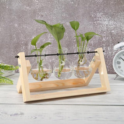 Glass Propagation Vase with A-Frame Wood Stand - Lily & Eden