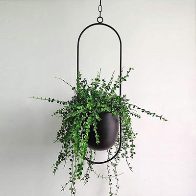 Halo Metal Hanging Planter Black / Oblong | Lily & Eden