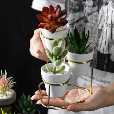 Ceramic Planters with Stand - Lily & Eden