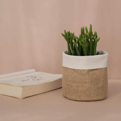 Rustic Cloth Planter Basket Burlap / Large | Lily & Eden