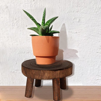 Wooden Plant Holder Seat