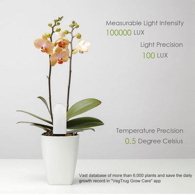 Intelligent Plant Water Meter and Wellness Sensor - Lily & Eden