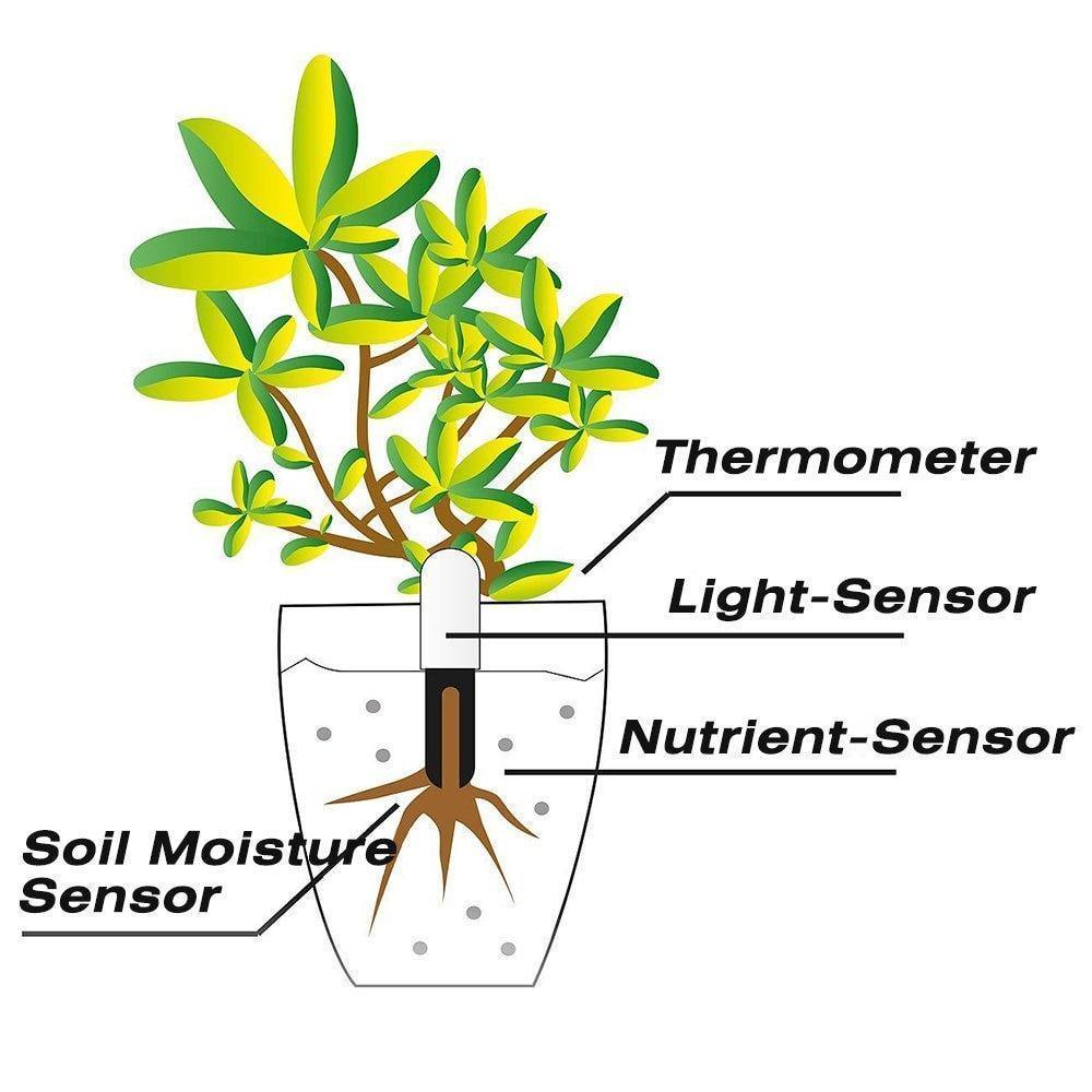 Intelligent Plant Water Meter and Wellness Sensor - Lily & Eden
