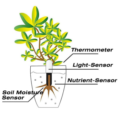 Intelligent Plant Water Meter and Wellness Sensor - Lily & Eden