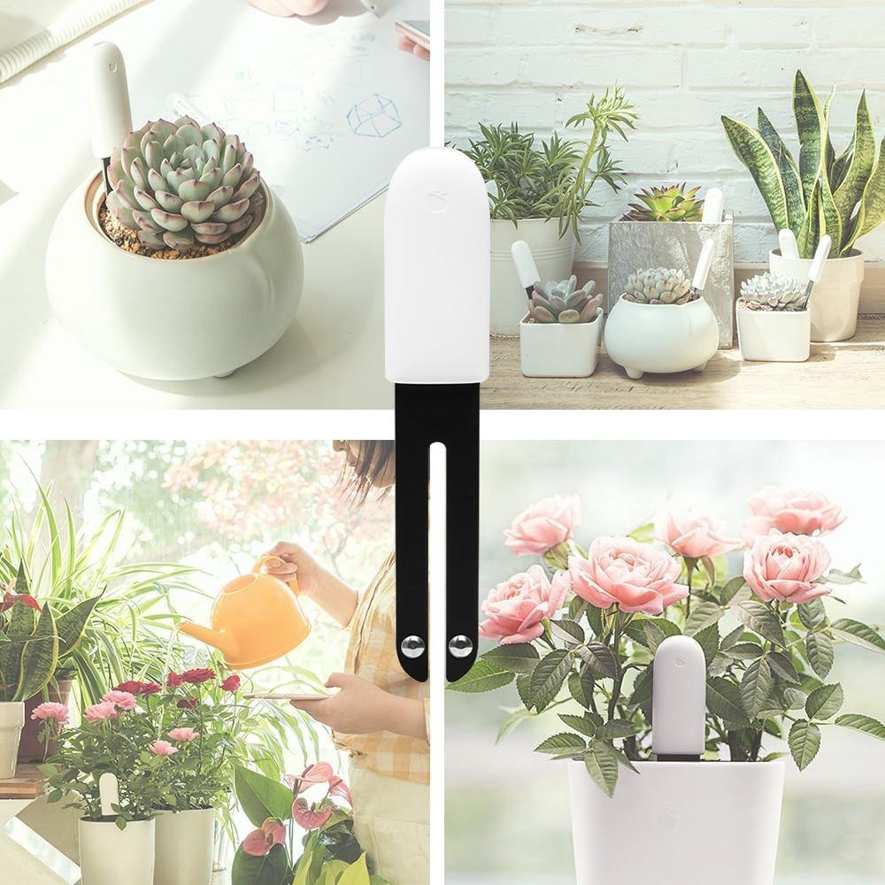 indoor plant water meter Intelligent Plant Water Meter and Wellness Sensor – Lily & Eden