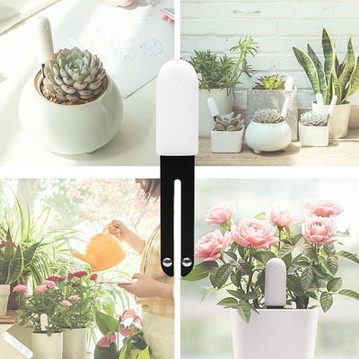 Intelligent Plant Water Meter and Wellness Sensor - Lily & Eden