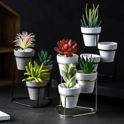 Ceramic Planters with Stand - Lily & Eden