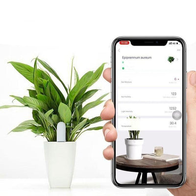 Intelligent Plant Water Meter and Wellness Sensor - Lily & Eden