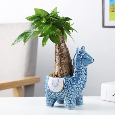 Alpaca Pottery Succulent Planter - Lily & Eden