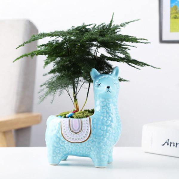 llama succulent planter Alpaca Pottery Succulent Planter LightSkyBlue / Head Turned