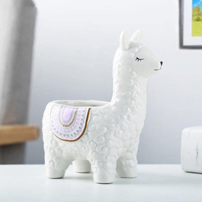 Alpaca Pottery Succulent Planter - Lily & Eden