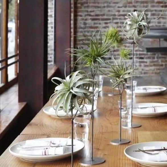 artificial air plants Artificial Air Plant Large