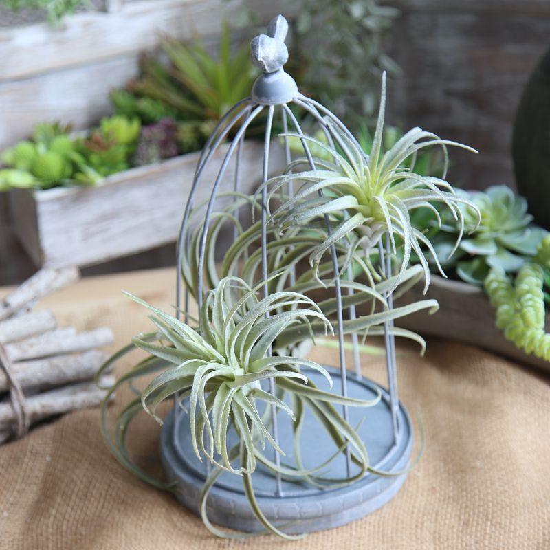 Artificial Air Plant Small